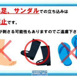 としまえんフィッシングエリア 釣果