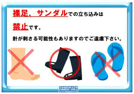 としまえんフィッシングエリア 釣果