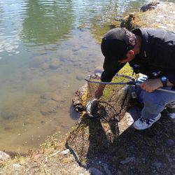 つりぼりあかし 釣果