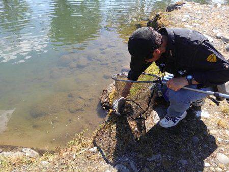 つりぼりあかし 釣果