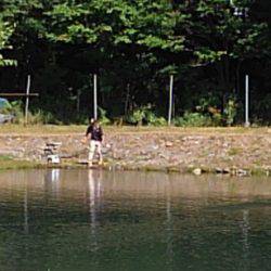 つりぼりあかし 釣果