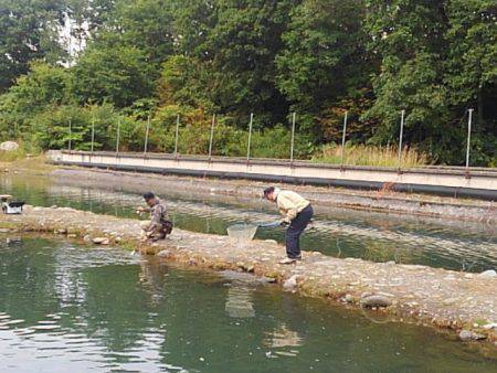 つりぼりあかし 釣果