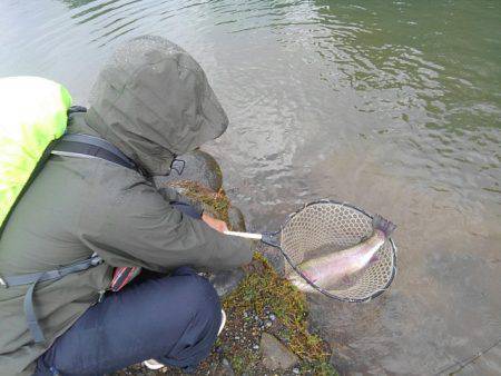 つりぼりあかし 釣果