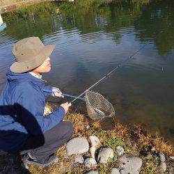 つりぼりあかし 釣果