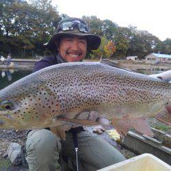 つりぼりあかし 釣果