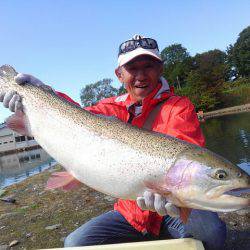 つりぼりあかし 釣果