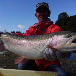 つりぼりあかし 釣果