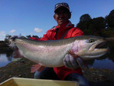 つりぼりあかし 釣果