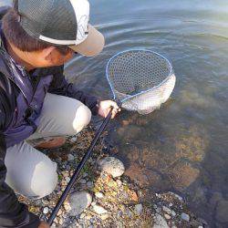つりぼりあかし 釣果
