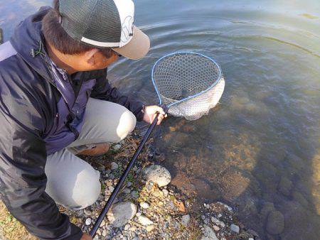 つりぼりあかし 釣果