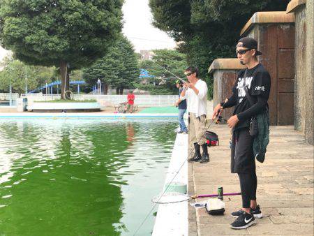 としまえんフィッシングエリア 釣果