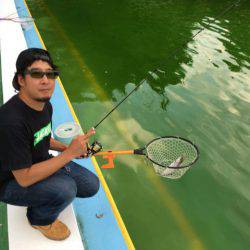 としまえんフィッシングエリア 釣果