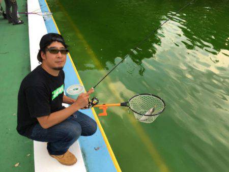 としまえんフィッシングエリア 釣果