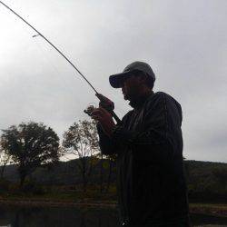 つりぼりあかし 釣果