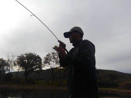 つりぼりあかし 釣果