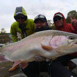 つりぼりあかし 釣果