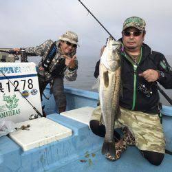 アマテラス 釣果