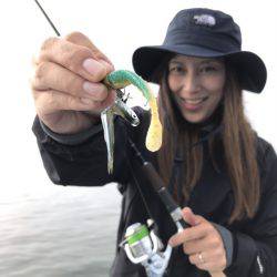 アマテラス 釣果