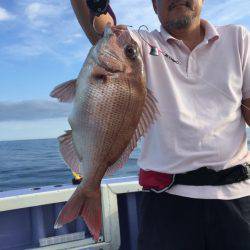新幸丸 釣果