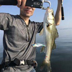 アマテラス 釣果