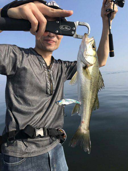 アマテラス 釣果