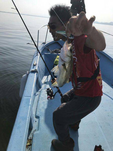 アマテラス 釣果