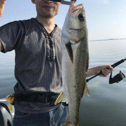 アマテラス 釣果