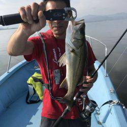 アマテラス 釣果