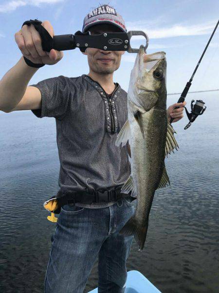 アマテラス 釣果