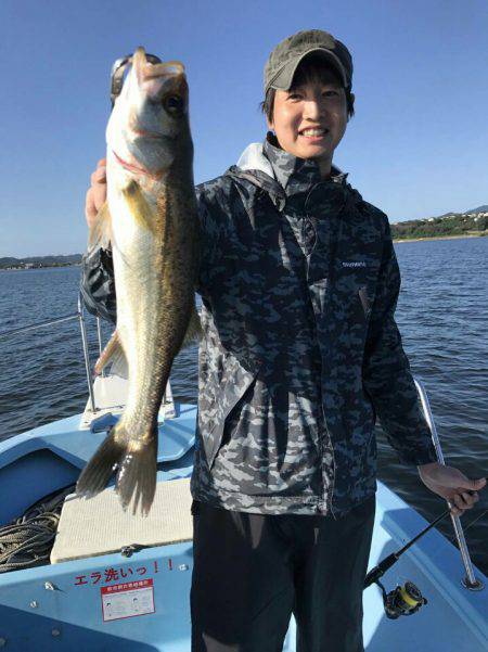 アマテラス 釣果