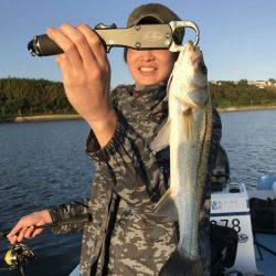 アマテラス 釣果