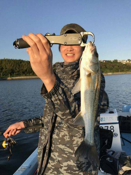 アマテラス 釣果