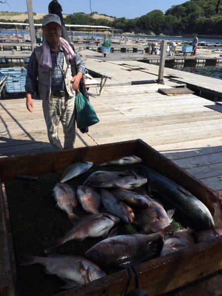 海の釣堀 海恵 釣果