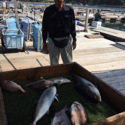 海の釣堀 海恵 釣果