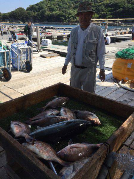海の釣堀 海恵 釣果