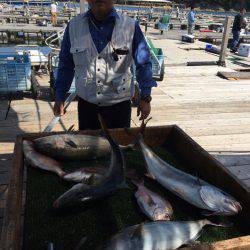 海の釣堀 海恵 釣果