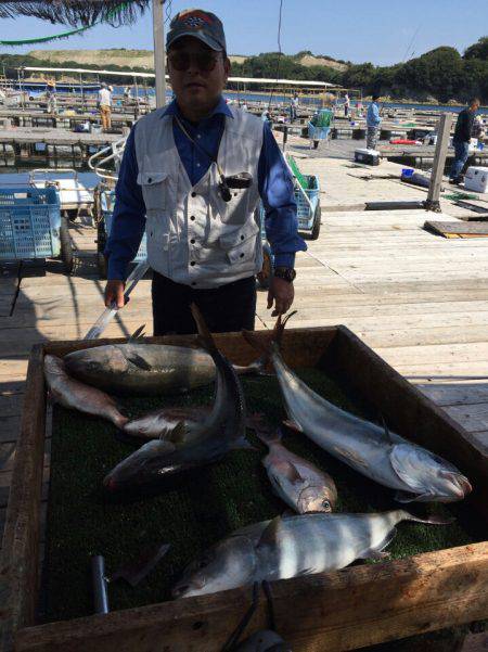 海の釣堀 海恵 釣果
