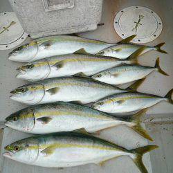 エンペラー 釣果