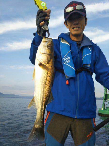 アマテラス 釣果