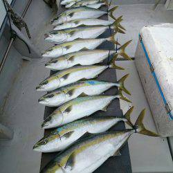 エンペラー 釣果