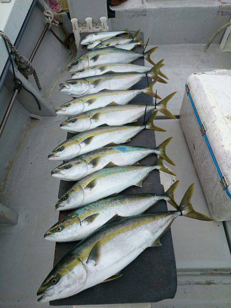 エンペラー 釣果