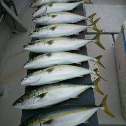 エンペラー 釣果