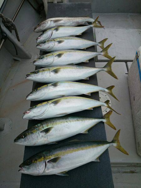 エンペラー 釣果