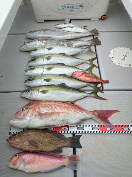 エンペラー 釣果