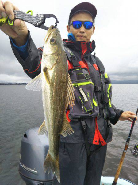 アマテラス 釣果