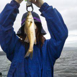 アマテラス 釣果