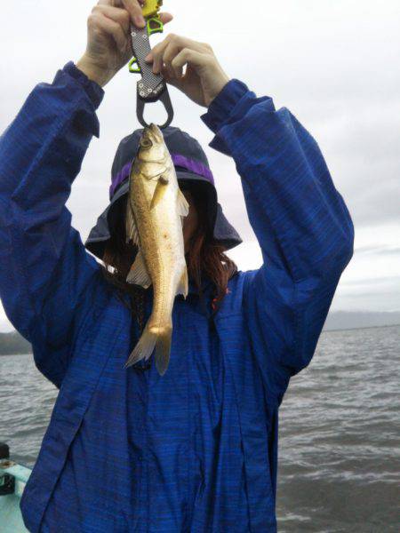 アマテラス 釣果