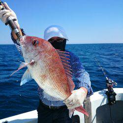 エンペラー 釣果