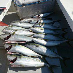 エンペラー 釣果