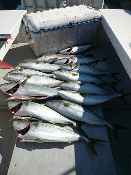 エンペラー 釣果